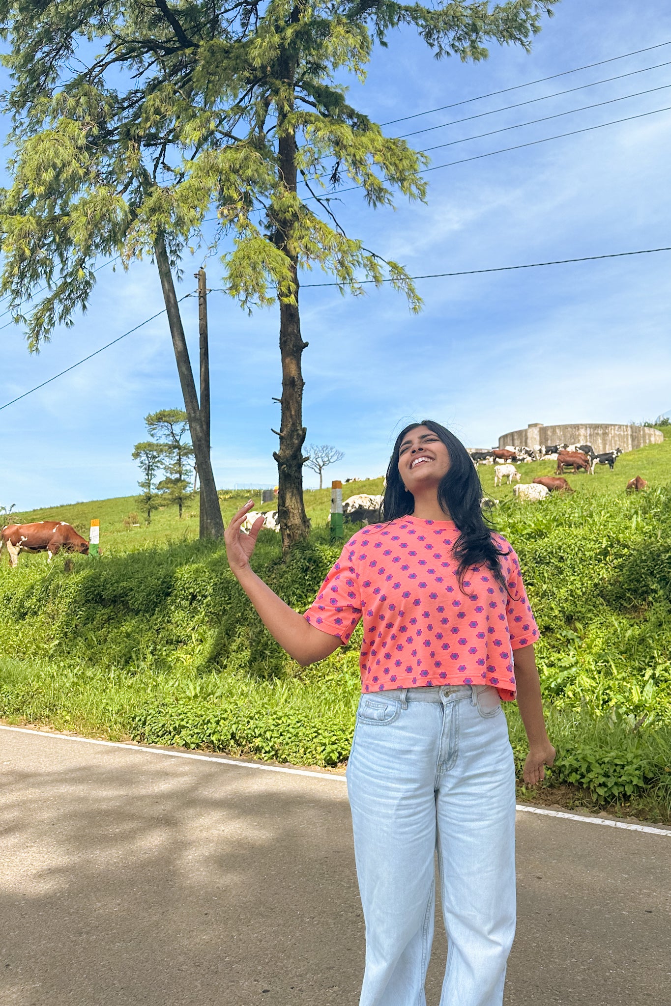 Groovy Petals Oversize Crop Tee