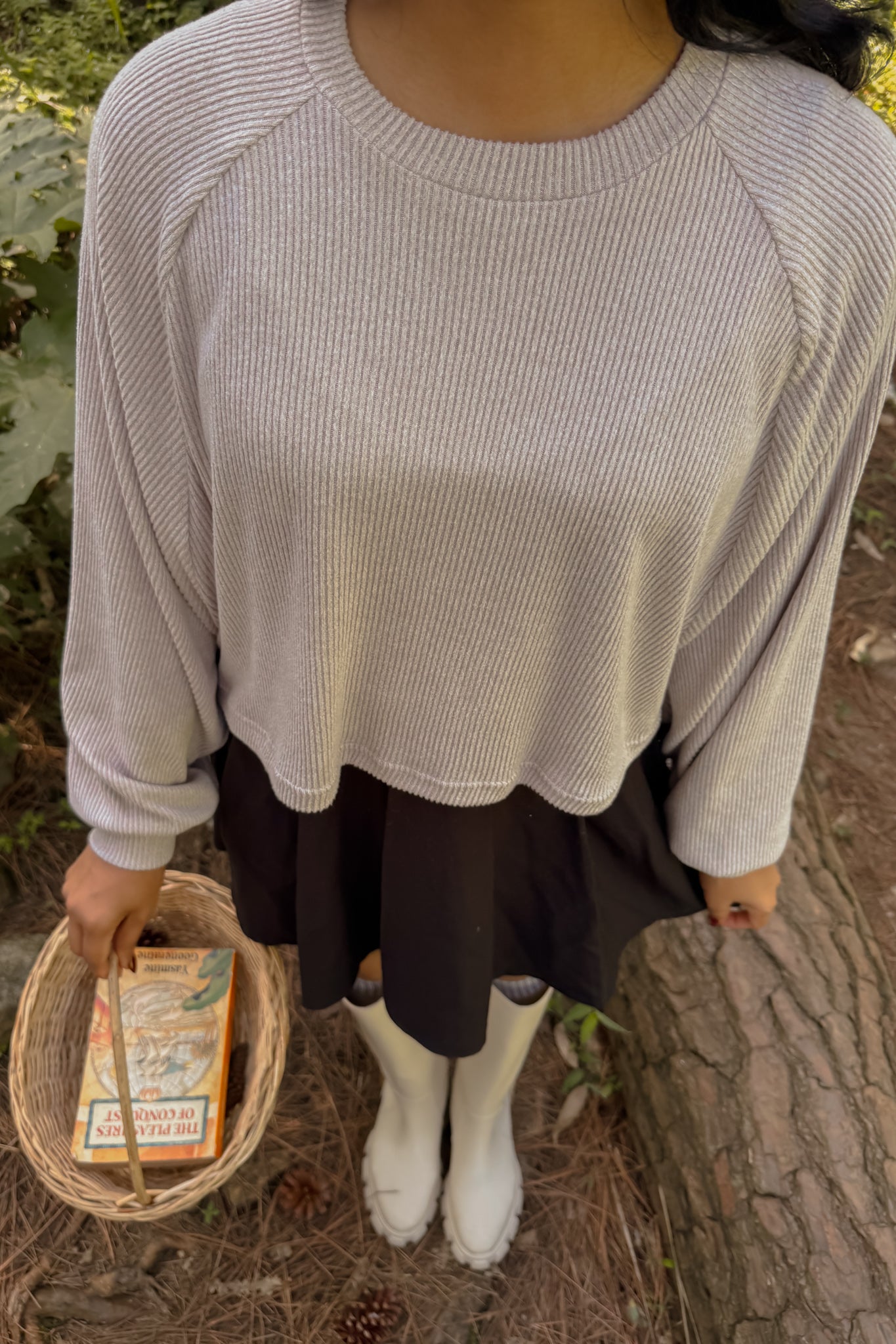 Whispered Fall Raglan Sleeve Crop Pullover